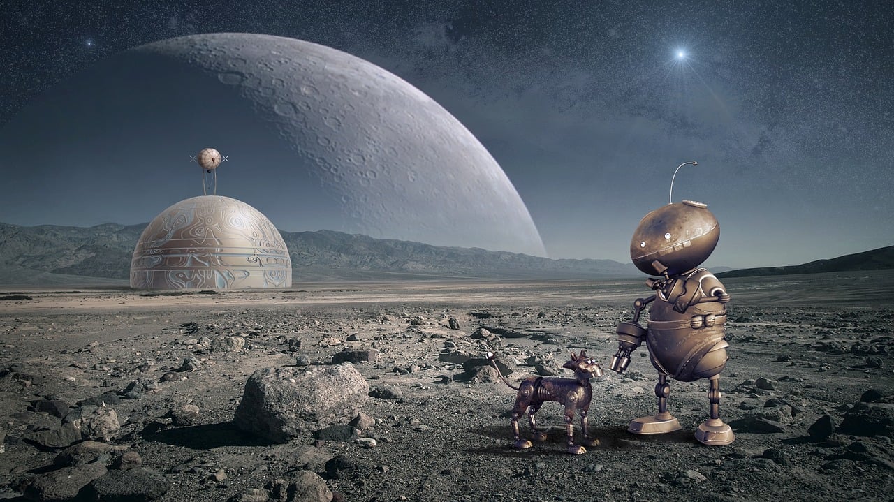 探索未来之星，2025年体坛明星的无限可能
