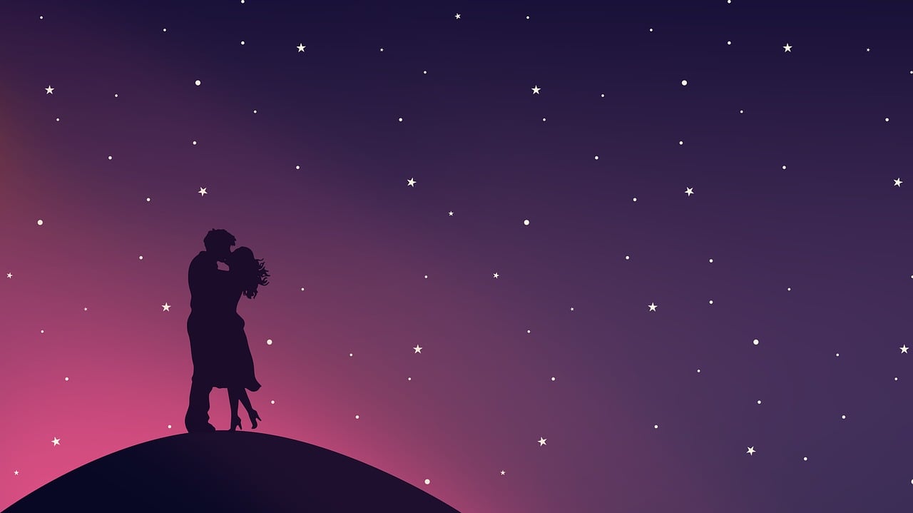 秋桜 第3页